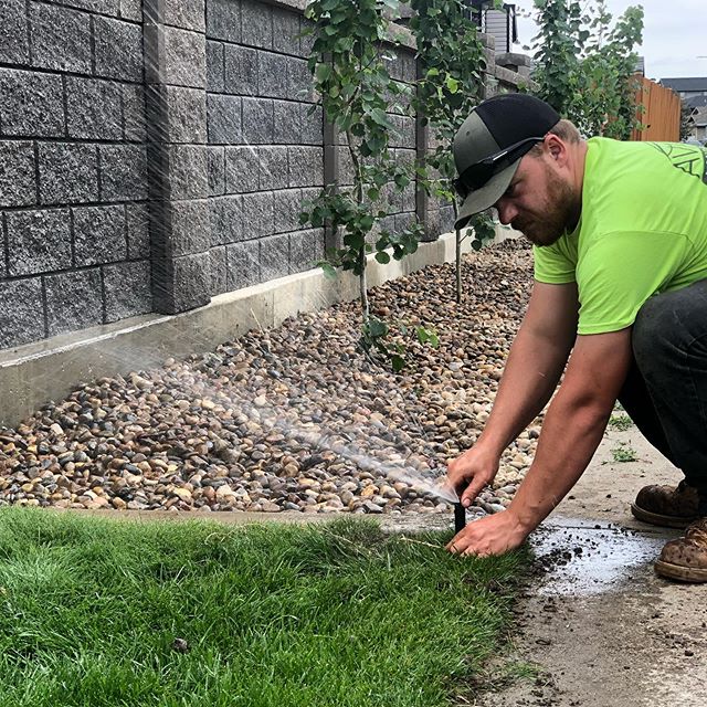 Avara technician adjusting a sprinkler head along a rock bed and lawn edge in Medicine Hat