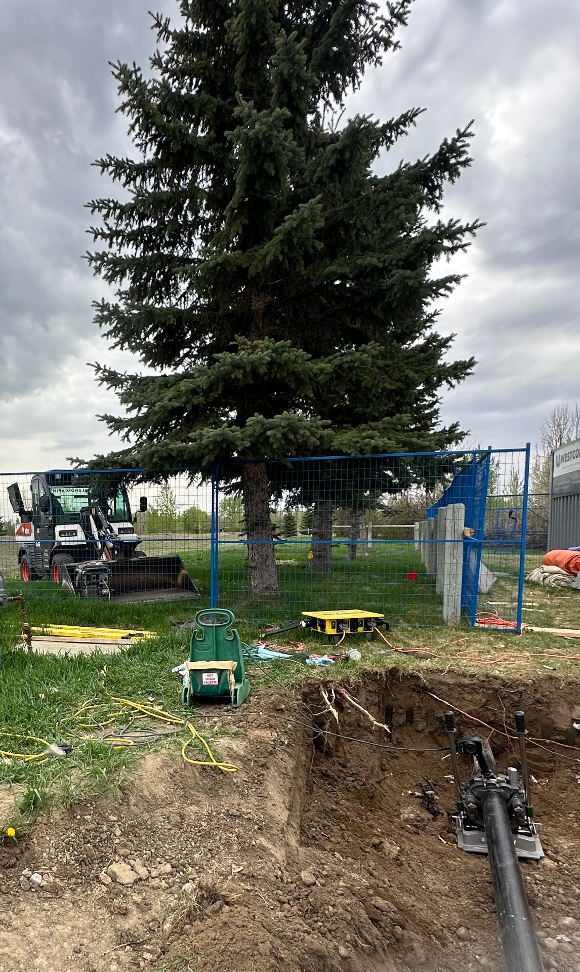 Kinbrook Island Irrigation Repairs & Upgrades — Irrigation repairs and upgrades at Kinbrook Island Provincial Park — HDPE mainline replacement with fusion joints, valve and head work, and full softscape restoration over the trenched work areas.