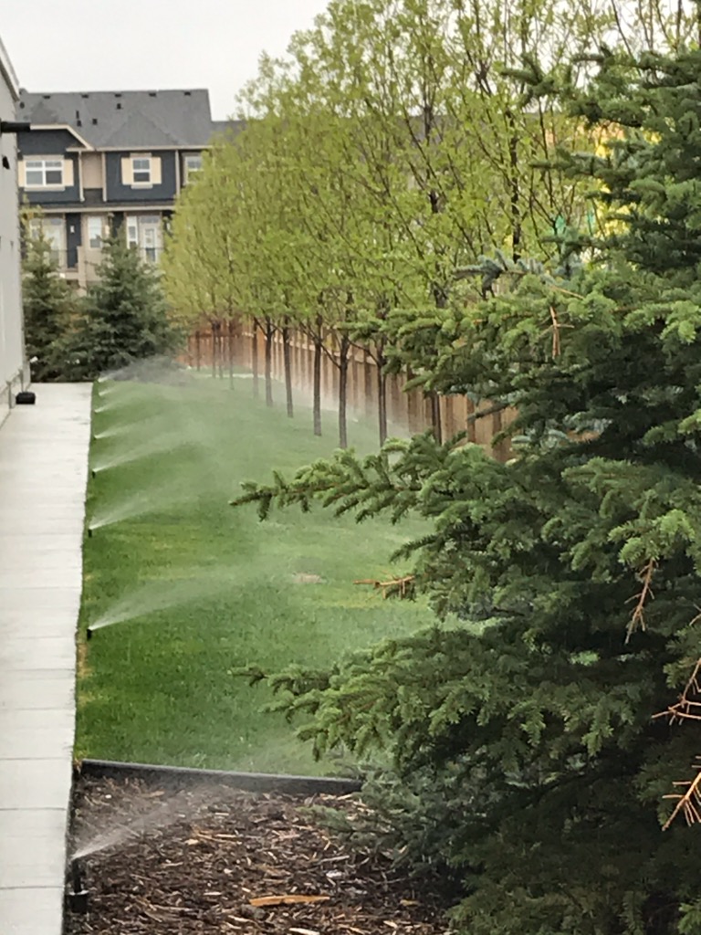 Legacy Village Commercial Irrigation — New commercial irrigation install for the Legacy Village development — fused HDPE mainline feeding overhead spray zones for turf, drip emitters across shrub beds, and tree bubblers, all controlled by a 2-wire decoder system.
