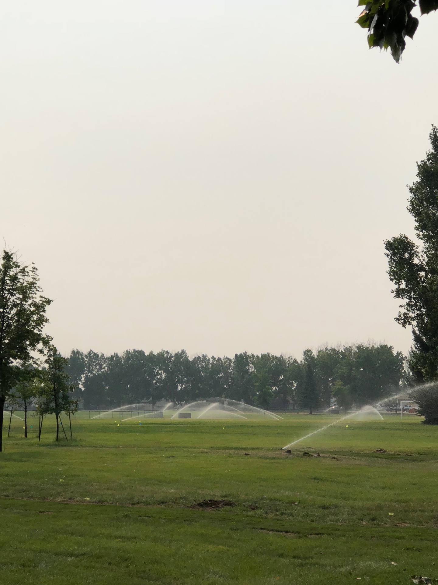 Ross Glen Park Irrigation Upgrades — Assisted in upgrading Ross Glen Park to a fused HDPE mainline with new valves and sprinkler heads, plus sod and seed placement to restore turf across the work areas.