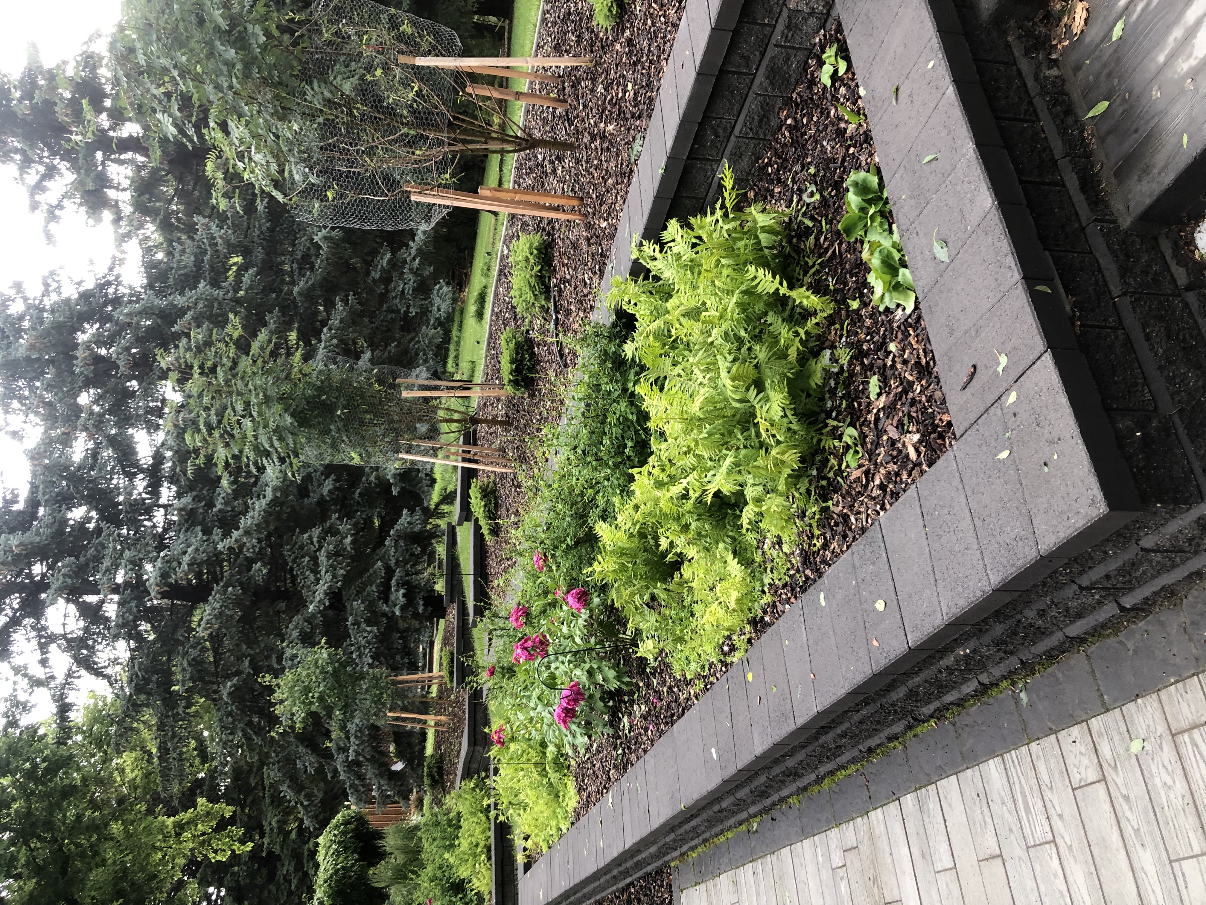 Avara Landscaping